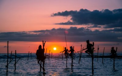 Stilt Fishing: The Unique Traditional Fishing Method of Sri Lanka
